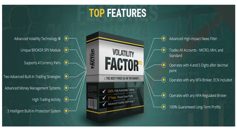 Volatility Factor at a glance